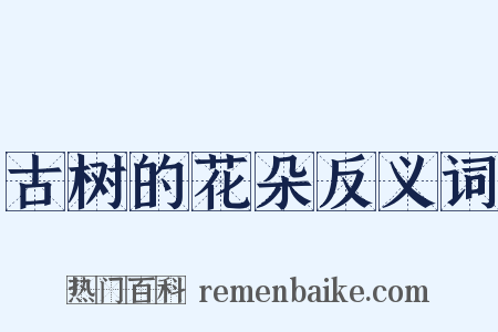 古树的花朵反义词是什么意思的图片